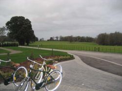 Bicycle around grounds