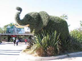 San Diego Zoo Entrance