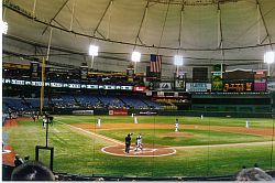 Tropical Field, home of the Tampa Devil Rays