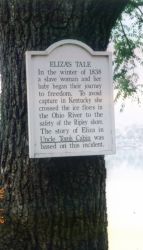 Eliza's Tale