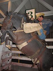 Exhibit in the National Cowboy and Western Heritage Museum